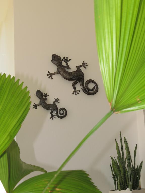 Villa Salamandra Las Galeras Luaran gambar